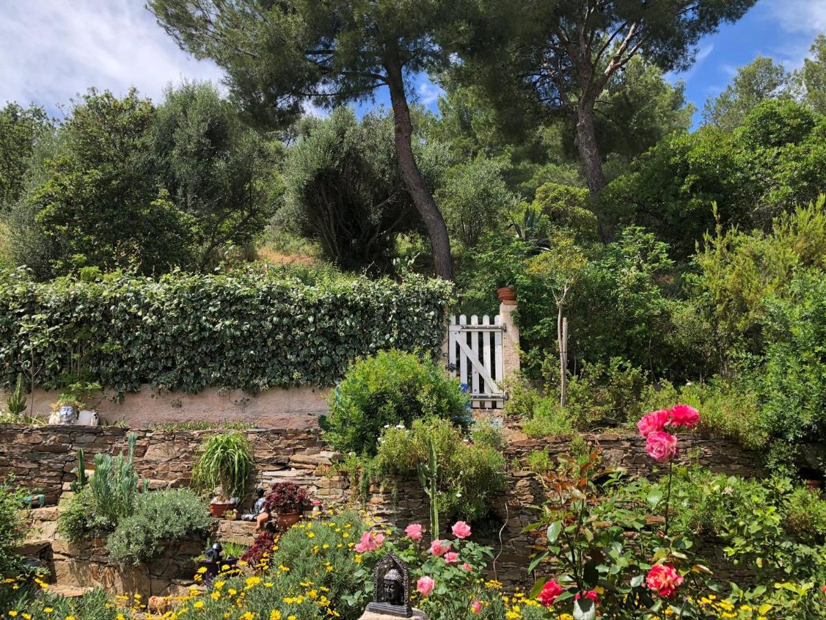 Logement Zen Sur La Colline Aux Mimosas Hyeres Luaran gambar