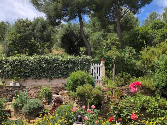 Logement Zen Sur La Colline Aux Mimosas Hyeres Luaran gambar