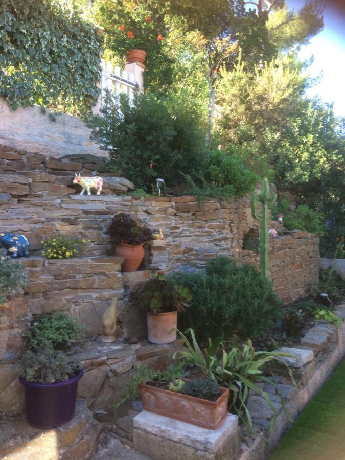 Logement Zen Sur La Colline Aux Mimosas Hyeres Luaran gambar