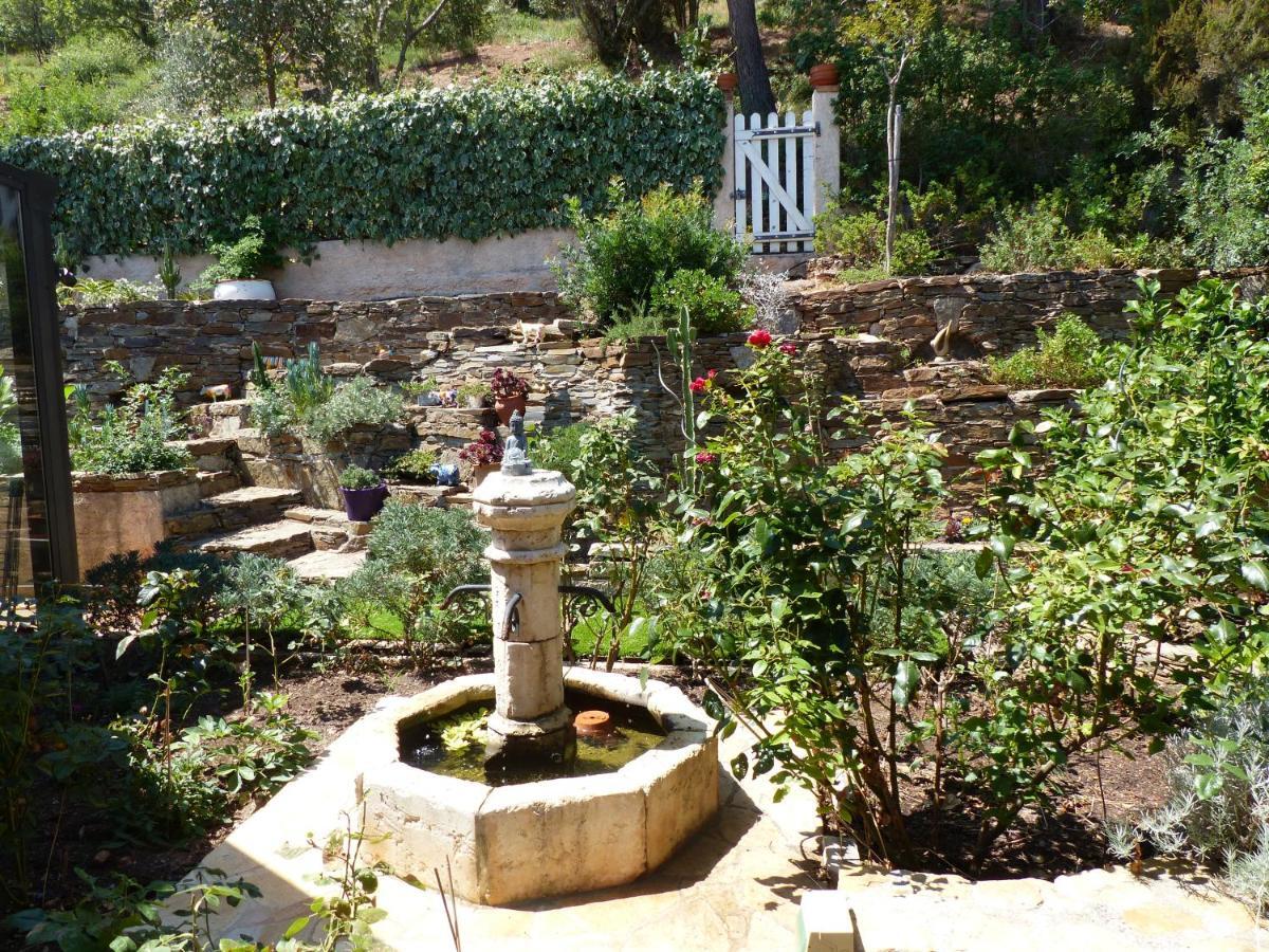 Logement Zen Sur La Colline Aux Mimosas Hyeres Luaran gambar